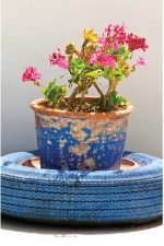 Tire Flower Pot