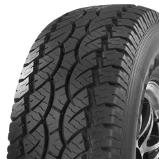 Bridgestone Blizzak WS-90 tire