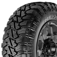 Nexen Roadian MTX Tire