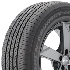 Michelin Pilot Sport Cup 2 Tire